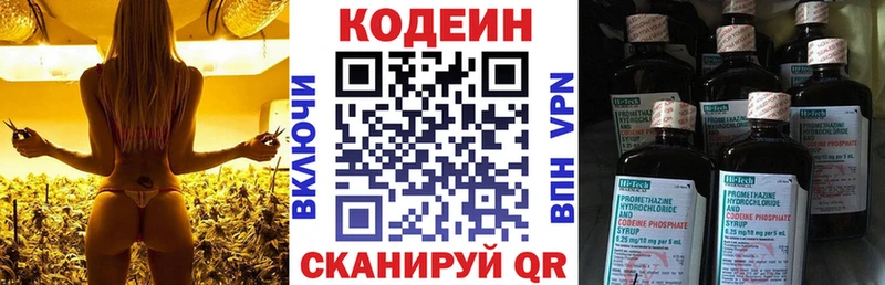 kraken tor  Нестеровская  Кодеиновый сироп Lean Purple Drank 