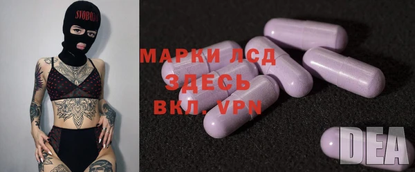 МДПВ Инсар