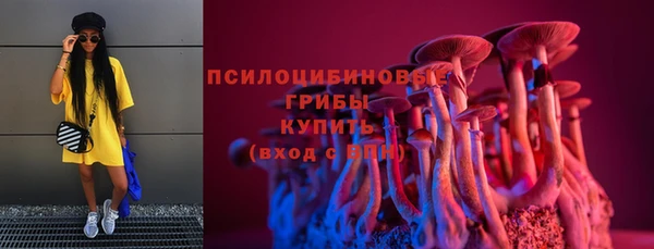 мдпв Навашино