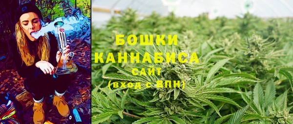 молекула духа Михайловск