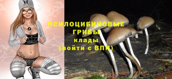 мдпв Навашино