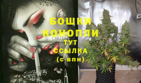 тгк Нея